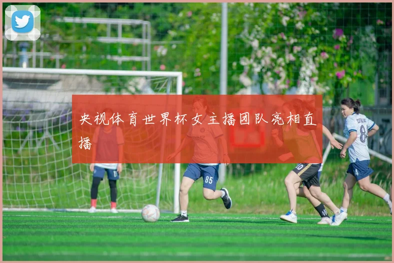央视体育世界杯女主播团队亮相直播