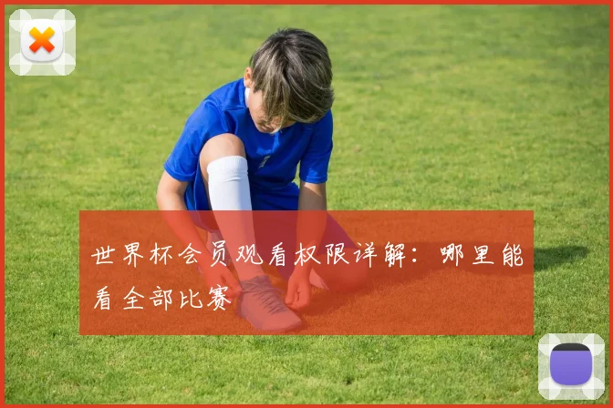 世界杯会员观看权限详解:哪里能看全部比赛