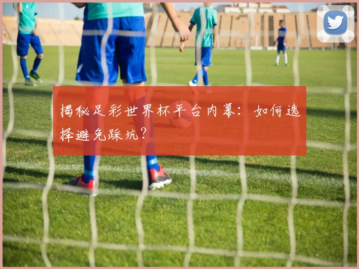 揭秘足彩世界杯平台内幕:如何选择避免踩坑?