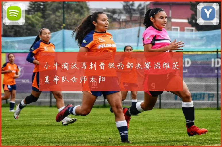 小牛淘汰马刺晋级西部决赛诺维茨基率队会师太阳