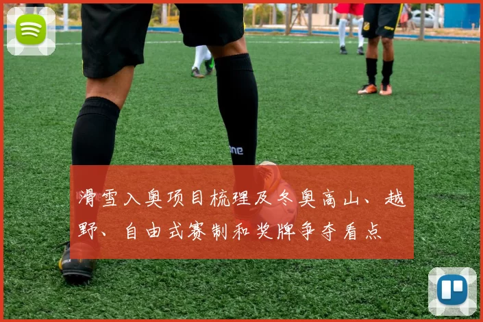 滑雪入奥项目梳理及冬奥高山、越野、自由式赛制和奖牌争夺看点