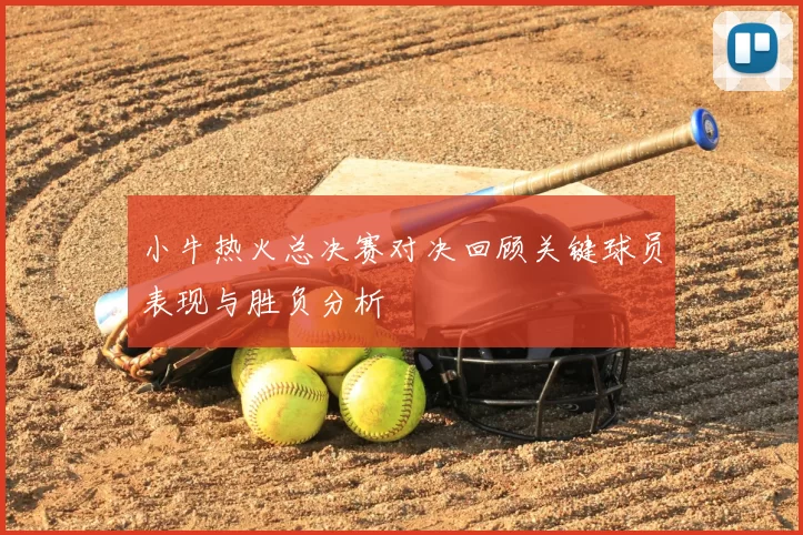 小牛热火总决赛对决回顾关键球员表现与胜负分析