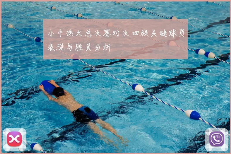 小牛热火总决赛对决回顾关键球员表现与胜负分析