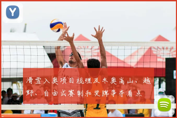 滑雪入奥项目梳理及冬奥高山、越野、自由式赛制和奖牌争夺看点