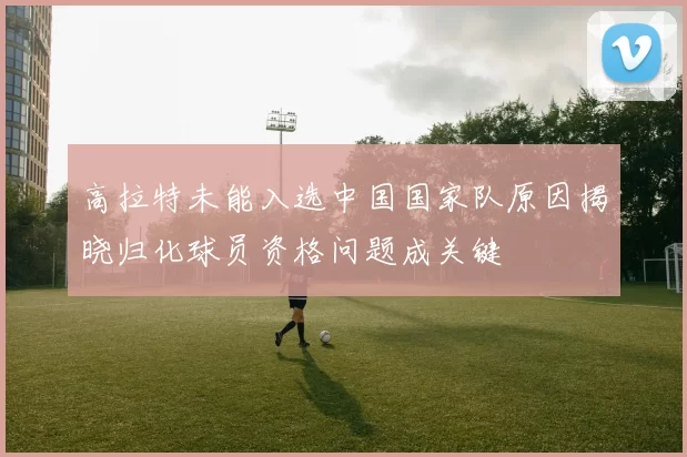 高拉特未能入选中国国家队原因揭晓归化球员资格问题成关键
