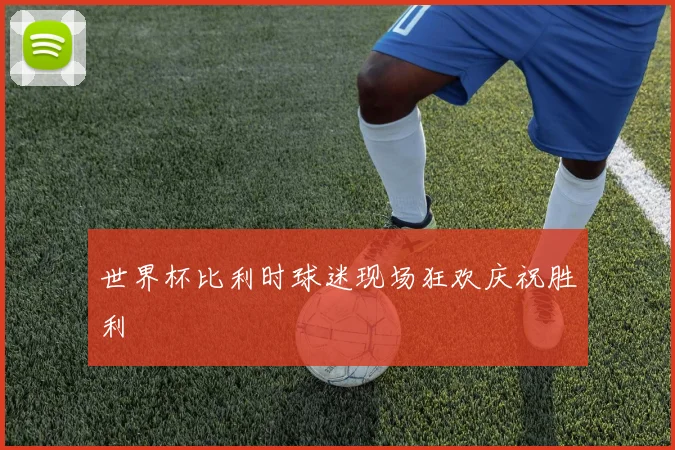 世界杯比利时球迷现场狂欢庆祝胜利